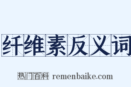 纤维素反义词是什么意思的图片